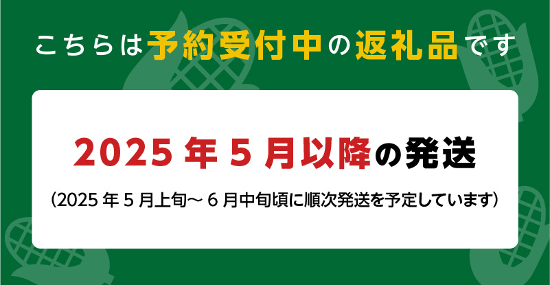 ホワイトショコラのヤングコーン 大サイズ30本_ヤングコーン 大サイズ 30本 ホワイトショコラ 新鮮 皮付き 朝採れ 農家直送 甘み ひげ 薄皮 食べられる 美味しい オーブン トースター おつまみ