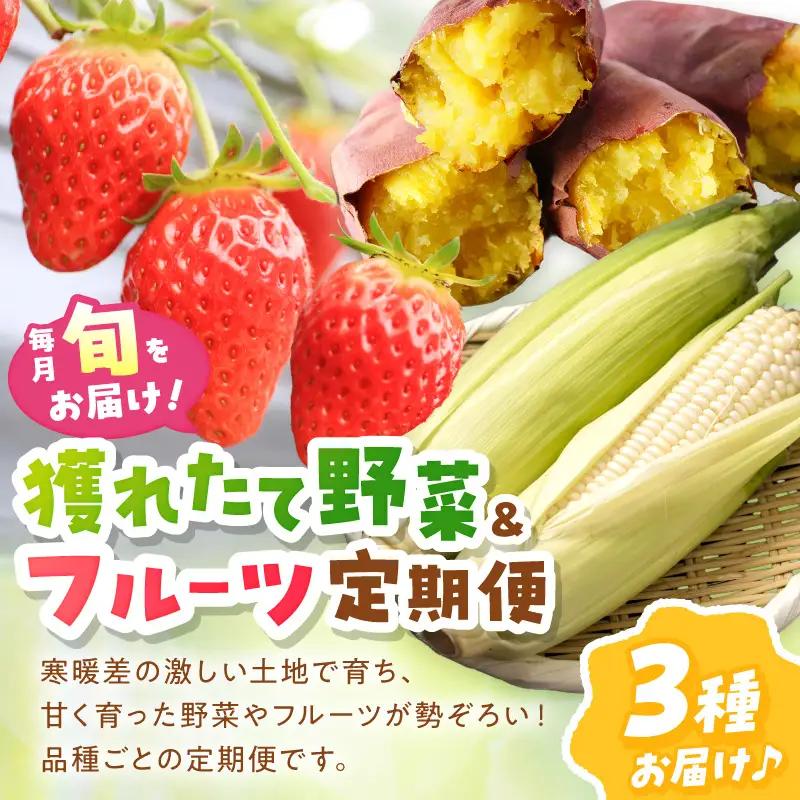 【野菜】旬野菜3回定期便｜サツマイモ.ホワイトコーン.イチゴ