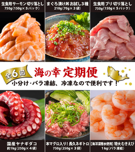  海の幸 定期便【全６回】 漁師町 尾鷲 からお届け！ 厳選 サーモン ブリ マグロ ネギトロ えび タコ ＜300セット限定＞ 小分け バラ凍結 ストック 便利 新鮮 鮮魚 さかな たっぷり 家庭用
