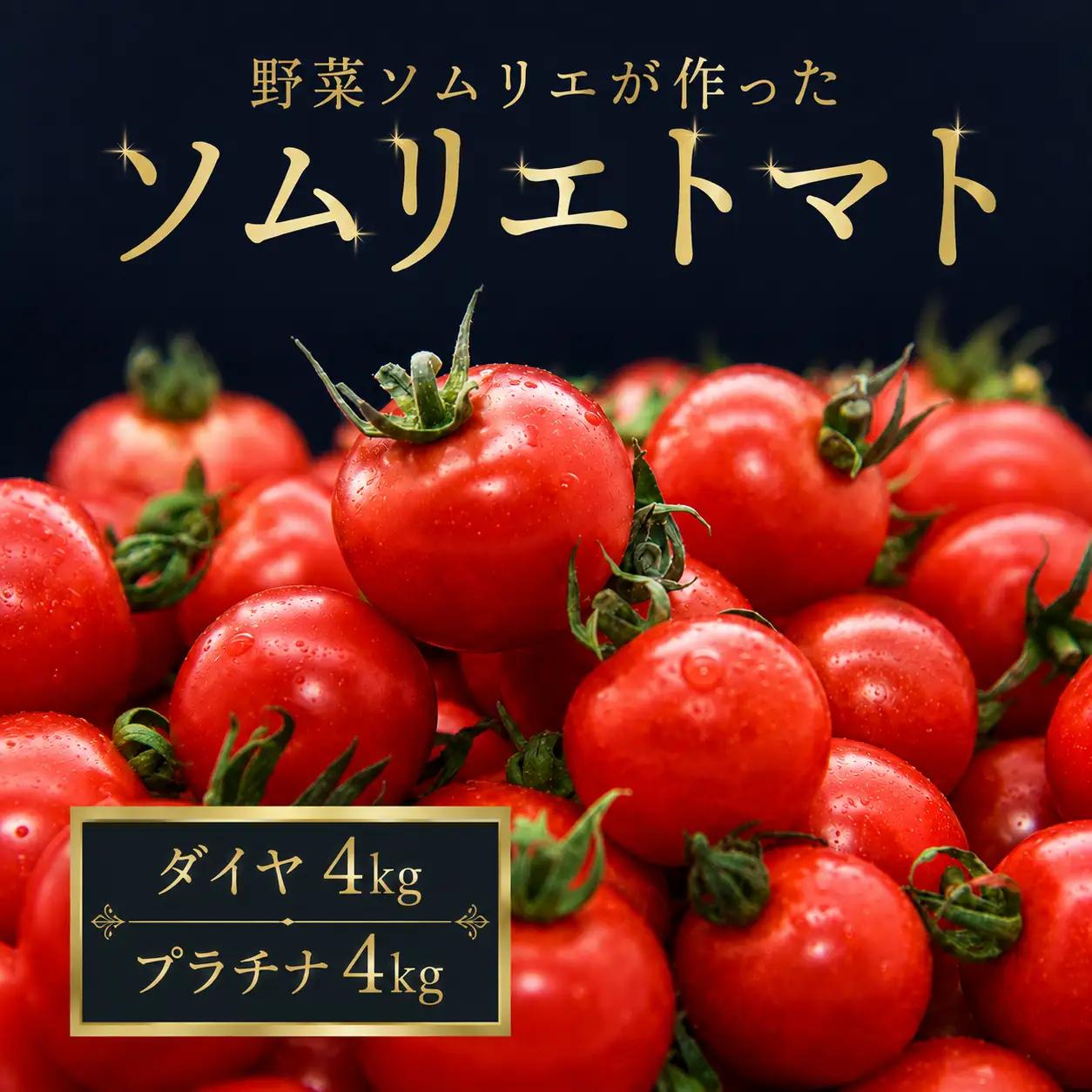 ミニトマト 食べ比べ8kg (プラチナ＆ダイヤ)