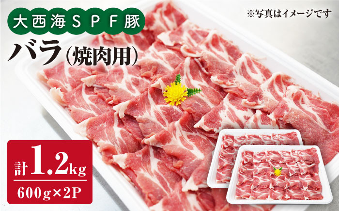 
                  大西海 SPF豚 バラ 焼肉 計1.2kg（600g×2パック） 訳あり ＜大西海ファーム＞ [CEK031] 長崎 西海 豚肉 国産豚 BBQ 焼肉 贈答 ギフト
                