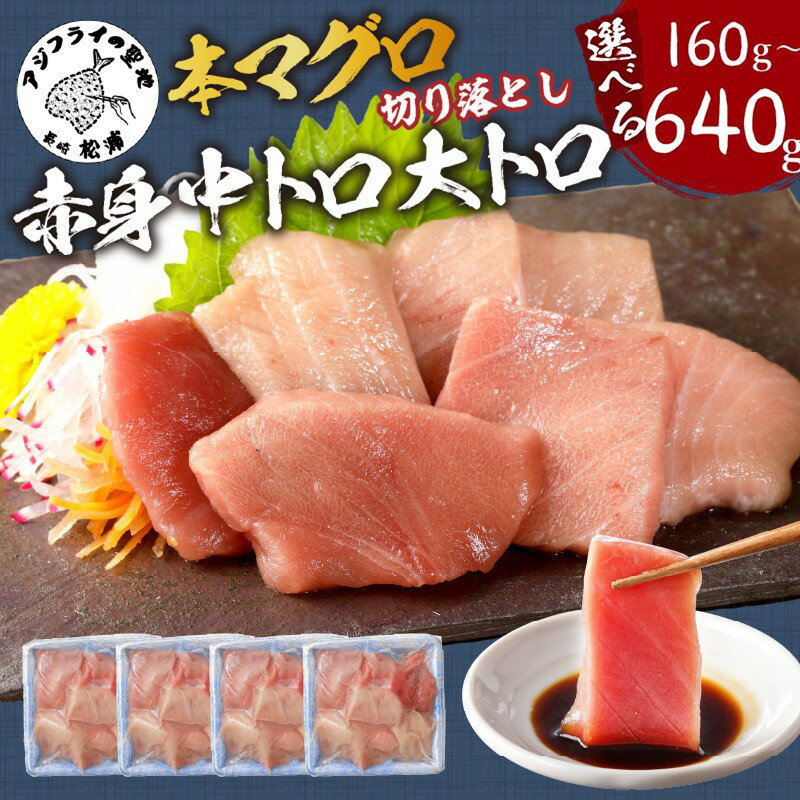 【ふるさと納税】《 内容量＆発送月が選べる 》楽天限定！鷹島産本まぐろ　食べ切りサイズ 80g 2P～8P 選べる 内容量 ふるさと納税 マグロ ふるさと納税 海鮮 ふるさと納税 人気 本まぐろ 鮪 まぐろ 大トロ 中トロ 赤身 海鮮丼 国産