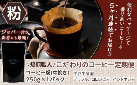 5回お届け!焙煎職人こだわりのコーヒー定期便【粉】250g 小分けパック(ジッパー・バルブ付) ※中深煎り※_TLA5-3301_(都城市) レギュラーコーヒー コーヒー粉 250g×1パック 少量パ