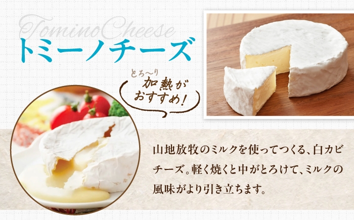 チーズ トミーノチーズ 愛媛県 伝統製法 おつまみ 乳製品 白カビチーズ 白カビ まろやか 濃厚 大人気チーズ 美味しいチーズ