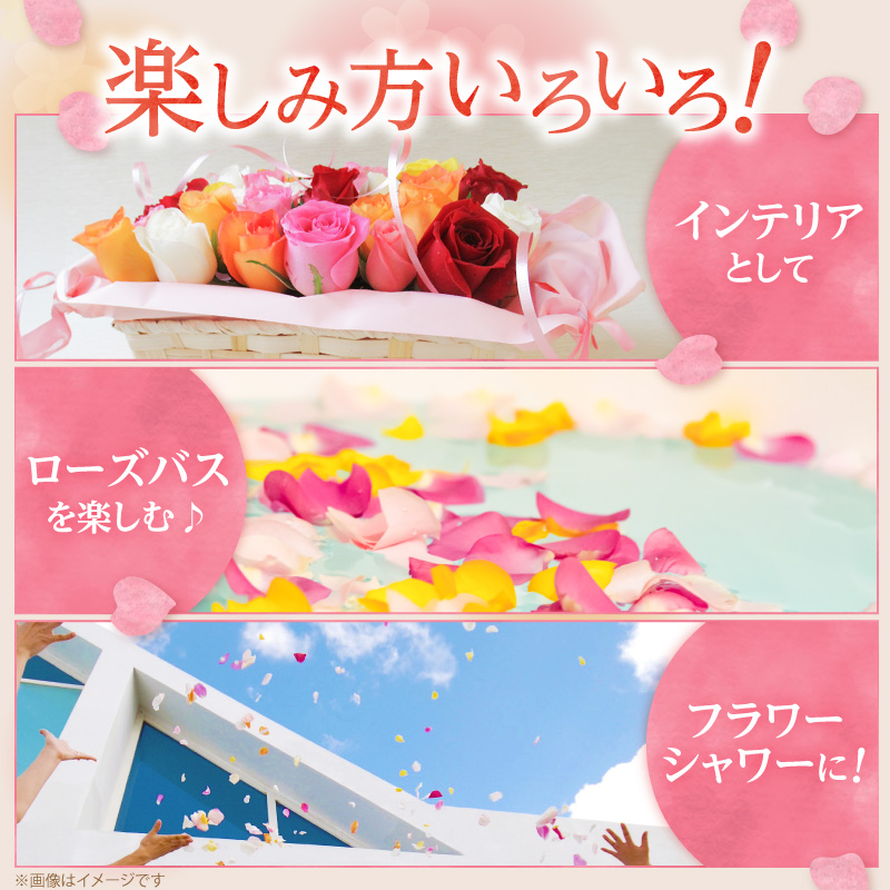 〈日付指定も可能〉 観賞はもちろん！バラ風呂やフラワーシャワーに！ ローズインにゅーよーくミックス３０輪 バラ３０輪詰め合わせ 風呂 薔薇 ローズ ギフト プレゼント ラッピング インテリア お花 フ