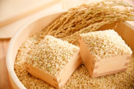 【新米】【7年産】 みずかがみ 玄米 10kg ( 5kg × 2袋 ) 冷めても美味しい あっさりとした味わい 【C018U1】近江米 みずかがみ