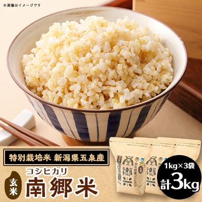 ふるさと納税 五泉市 【2ヵ月毎定期便】[隔月3回定期便]特別栽培米コシヒカリ「南郷米」玄米3kg(1kg×3袋)全3回
