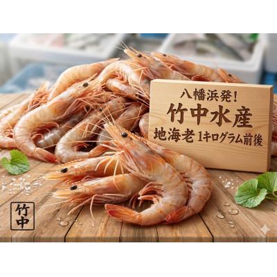 ふるさと納税 八幡浜市 竹中水産の地海老(八幡浜産)約1キロ!【C22-269】
