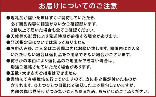 【先行受付】 特別栽培みかん（早生） 5kg サイズミックス 早生みかん 温州みかん みかん ミカン 蜜柑 フルーツ 柑橘 果物 果実 熊本県 上天草市【2026年11月上旬から12月上旬発送開始】