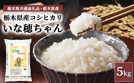 栃木県産コシヒカリ いな穂ちゃん 5kg【栃木県共通返礼品・栃木県産】◆