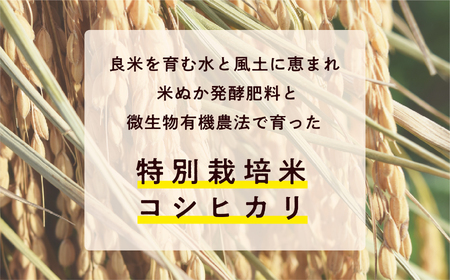 完熟菊姫米　特別栽培米コシヒカリ　精米10kg（5kg×2袋）【ADATARAふぁーむ】