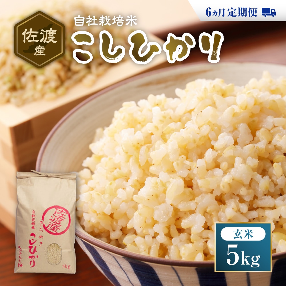 自社栽培米佐渡産こしひかり（玄米5kg）６カ月定期便