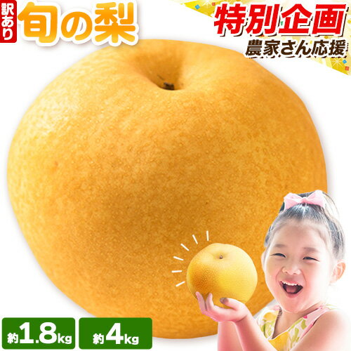 【ふるさと納税】 訳あり 旬の梨 約1.8kg 2~5玉前後 約4kg 3〜10玉前後 岡山県産 梨 訳あり 新高 愛宕 王秋梨 鴨梨 岡山 矢掛町《9月上旬-1月末頃に出荷予定》数量限定 梨 なし ナシ