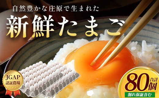 配送月選択可 新鮮 たまご 80個 | 自然豊かな庄原で生まれた 新鮮たまご 広島県 庄原市 卵 たまご 玉子 タマゴ 鶏卵 生卵 ワケアリ 訳アリ MSサイズ～2Lサイズ サイズ混合 サイズ指定不可
