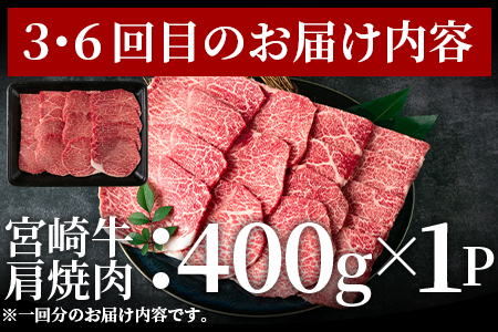 ＜【定期便6か月】宮崎牛を存分に味わうセット 総量3.0kg＞柔らかくきめ細かい肉質と適度な霜降りの入った美味しい牛肉をご堪能下さい！【MI231-nh】【日本ハムマーケティング株式会社】