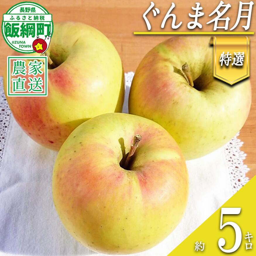 【ふるさと納税】 りんご ぐんま名月 特選 5kg やまじゅうファーム 沖縄県への配送不可 令和8年度収穫分 信州の環境にやさしい農産物 減農薬栽培 長野県 飯綱町 【 信州 果物 フルーツ リンゴ 林檎 長野 20000円 】発送時期：2026年11月下旬〜2026年12月上旬{***}