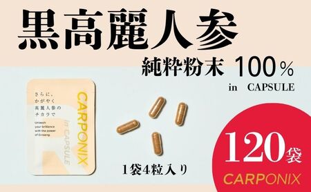 黒高麗人参「CARPONIX」4粒入り×120袋 サプリメント サプリ 黒高麗人参 カプセル ジンセノサイド 千葉市