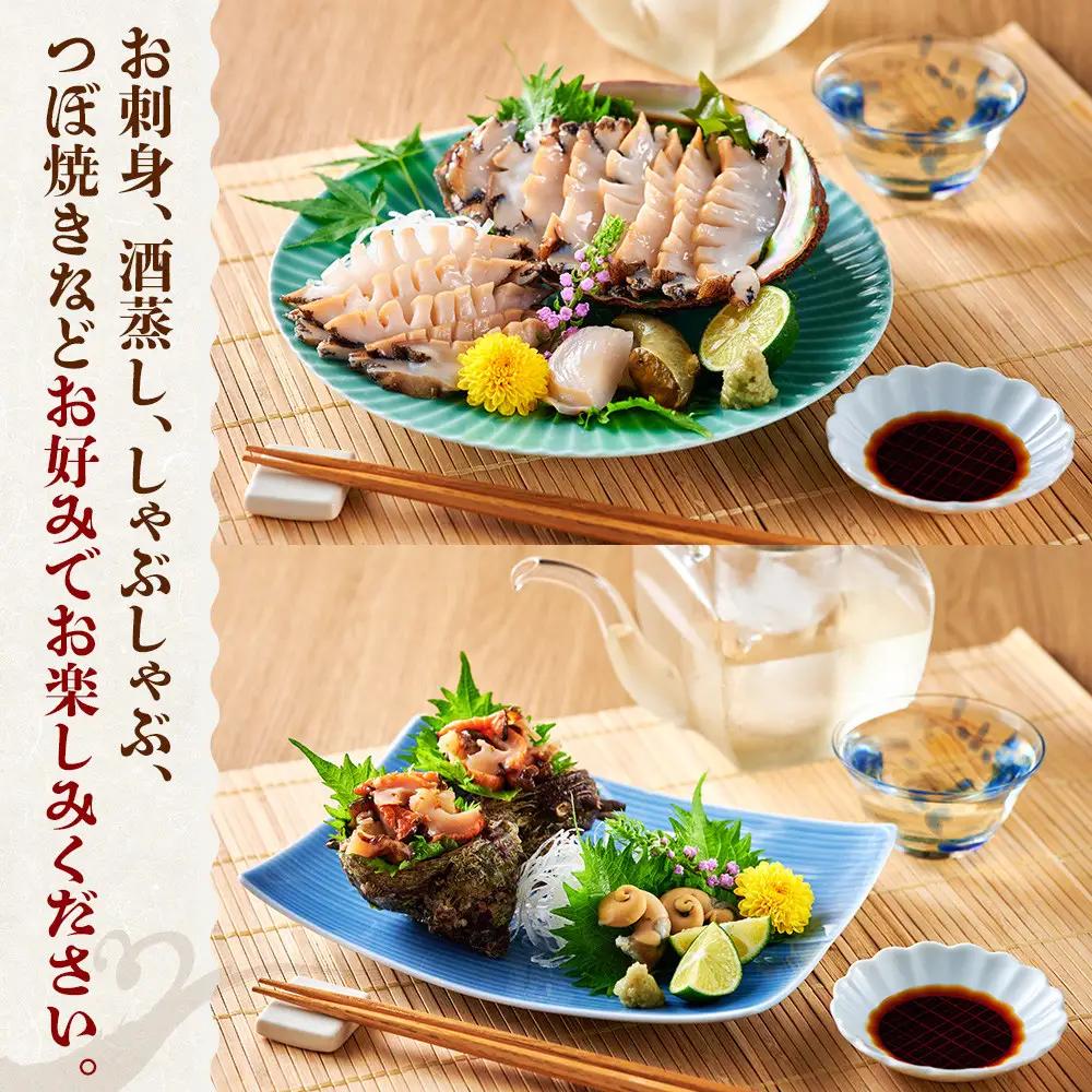 ＜土日祝着＞＜1月上旬～2月上旬頃順次配送＞あわび・さざえ詰合せ(2種) 【鳥取県 境港市】