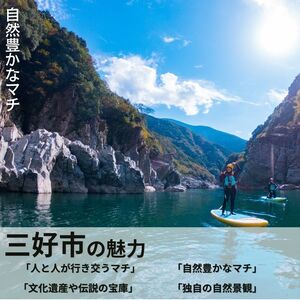 手造りとうふ 3個 固い 豆腐 木綿【とうふ】