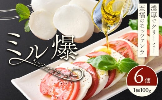 モッツァレラチーズ ミル爆 6個 チーズ モザレラ 株式会社フォルナ・ヴェスタ《90日以内に出荷予定(土日祝除く)》フレッシュ カプレーゼ おつまみ 前菜 手作り 国産 熊本県 菊池市 送料無料