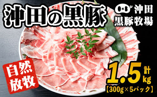 
B6-01 鹿児島県産！贅沢な黒・沖田の黒豚(計1.5kg・ロース、肩ロース、バラ、モモ、ウデいずれか5パック) 自然放牧・自家製飼料で大切に育てられた黒豚肉【沖田黒豚牧場】
