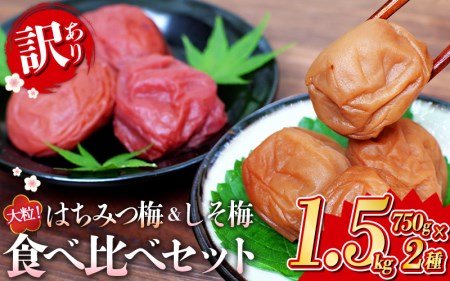 ご家庭用 紀州南高梅 大粒 食べ比べセット 1㎏ (はちみつ500g・しそ漬500g) 塩分約8% 無選別 /訳あり 梅 梅干 梅干し うめ ウメ ハチミツ シソ 小分け すさみ町 梅干し 梅干し 梅干し 梅干し 梅干し 梅干し 梅干し 梅干し 梅干し 梅干し 梅干し 梅干し 梅干し 梅干し 梅干し 梅干し 梅干し 梅干し 梅干し 梅干し 梅干し 梅干し 梅干し 梅干し 梅干し 梅干し 梅干し 梅干し 梅干し 梅干し 梅干し 梅干し 梅干し 梅干し 梅干し 梅干し 梅干し 梅干し 梅干し 梅干し 梅干し 梅