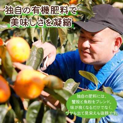 ふるさと納税 本巣市 福井農園の富有柿Lサイズ(14個入)福井農園独自の肥料で栽培 |  | 02