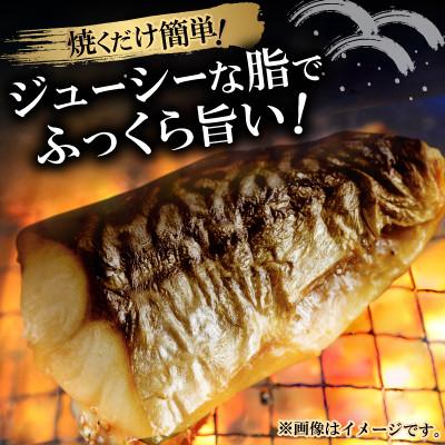 ふるさと納税 小浜市 塩サバ切身　500g(約7〜10切) |  | 01