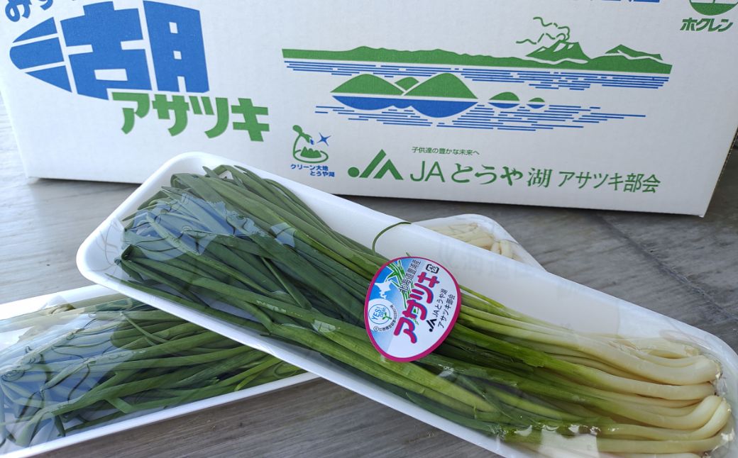 【ふるさと納税】北海道産アサツキ 1kg 【 北海道の冬を乗り越えた幻の作物 ふるさと納税 人気 おすすめ ランキング おいしい 美味しい 北海道 豊浦町 送料無料 】 TYUAH004
