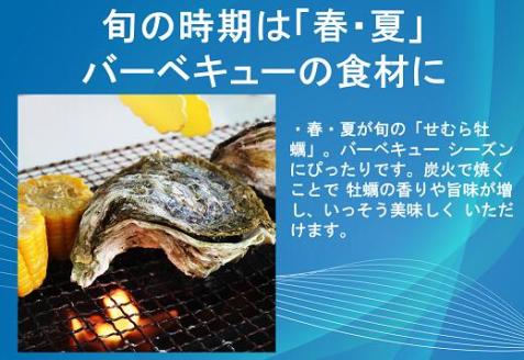 (1007)牡蠣 カキ 岩ガキ 岩がき 岩牡蠣 岩カキ 海のミルク 濃厚 クリーミー 夏バテ防止 3kg 焼き 蒸し 加熱