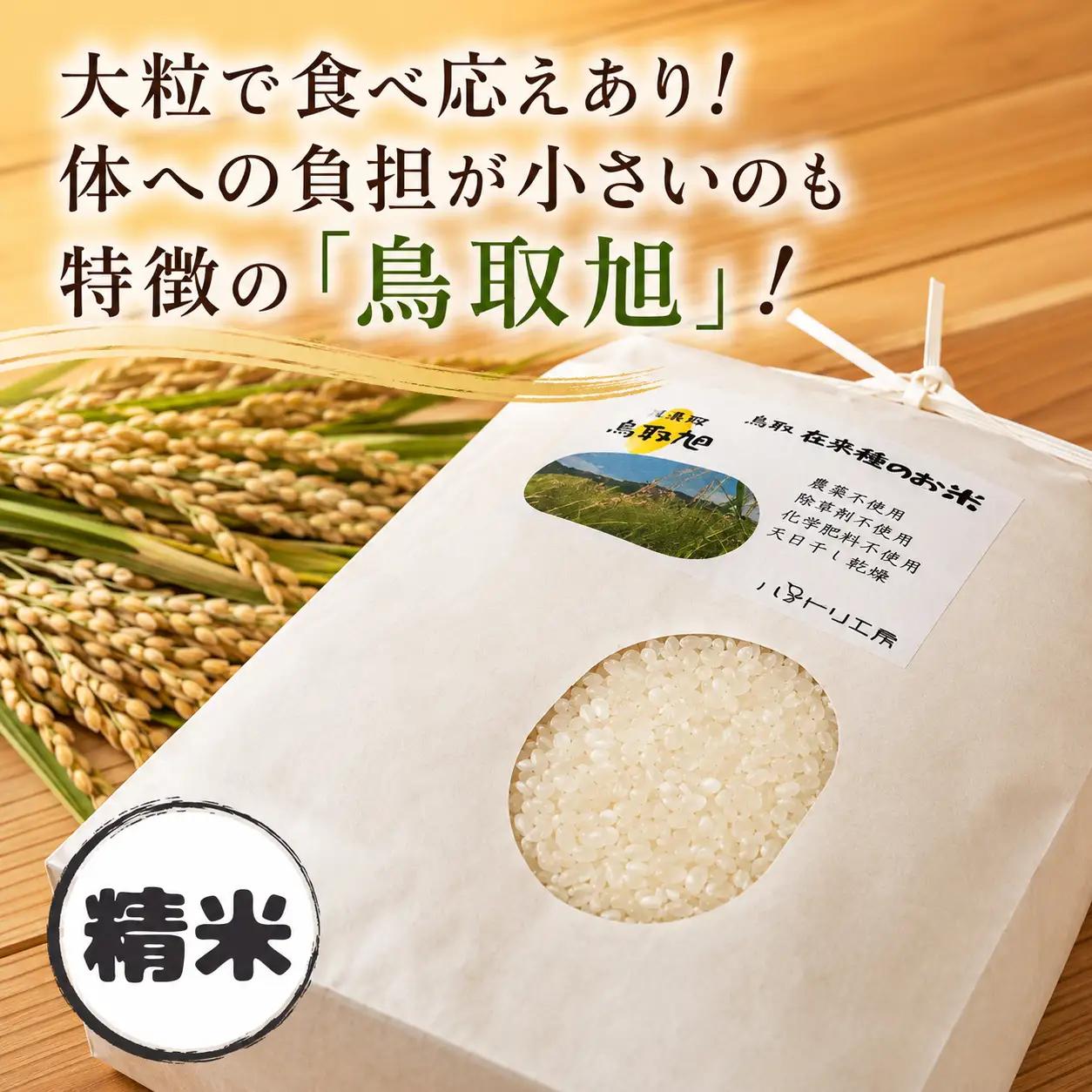 Y268 鳥取旭5kg（精米）