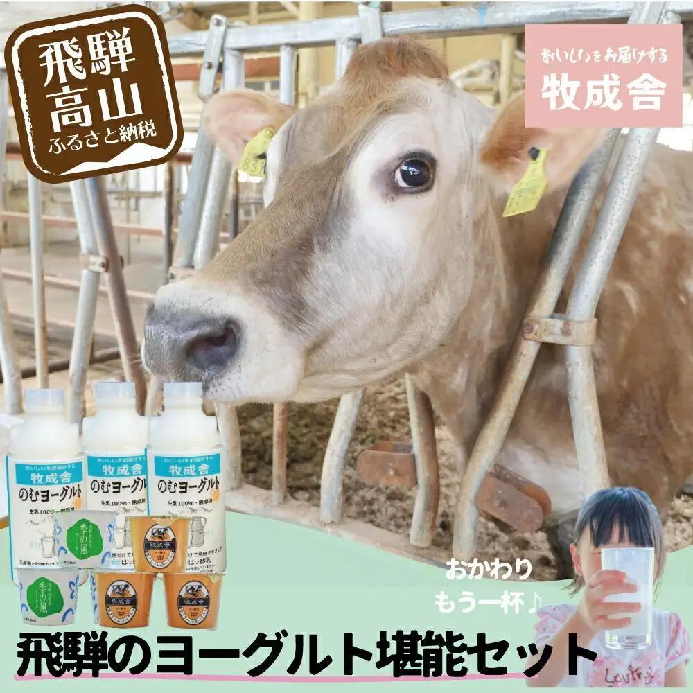 【寄附額見直しました！】『牧成舎』 飛騨のヨーグルト堪能セット （ヨーグルト2種 / 飲むヨーグルト1種） DF011VC13