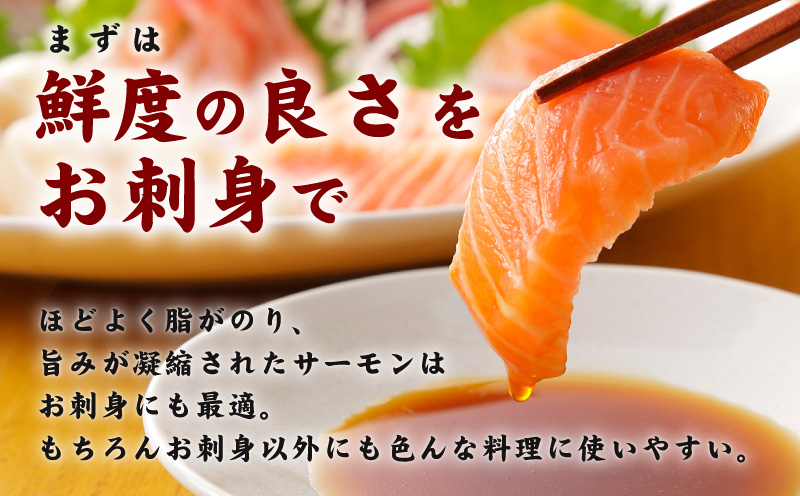 サーモン 切り落とし 定期便 900g×全3回【毎月配送 便利な小分け 300g×3P 訳あり サイズ不揃い 小分け 海鮮丼 人気 オススメ 小分け 冷凍 簡単調理 一人暮らし 東洋冷蔵 大阪 泉佐野