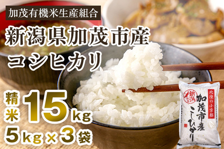 【令和7年産新米先行予約】新潟県加茂市産コシヒカリ 精米15kg（5kg×3） 《10月中旬から順次出荷 》 白米 加茂有機米生産組合 新潟県産コシヒカリ 米 お米