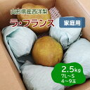 【ふるさと納税】西洋梨（ラ・フランス）2.5kg ご家庭用 山形県 上山市 0075-2417