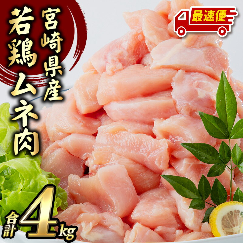 【ふるさと納税】《発送時期が選べる》 宮崎県産 若鶏 むね肉 4kg （250g×16パック） 鶏肉 胸肉 肉 お肉 小分け カット済 真空冷凍 おつまみ おかず お弁当 食品 高タンパク 低カロリー サラダ 普段使い 使い勝手 鶏ムネ肉 国産 国産鶏肉 《レビューキャンペーン》
