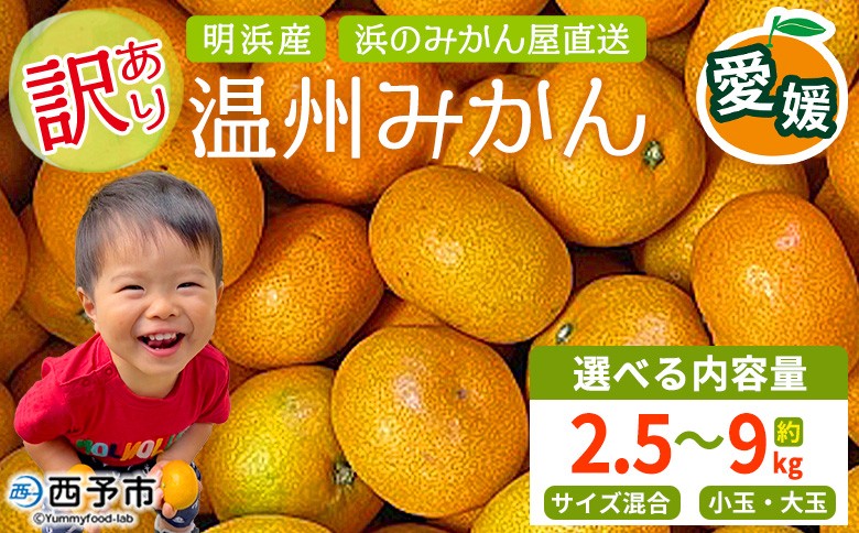 
                  ＜訳あり 温州みかん 約2.5/3/4.5/5/9kg＞ 選べる 小玉 中玉 大玉 明浜産 果物 フルーツ 蜜柑 うんしゅうみかん ウンシュウミカン 柑橘 家庭用 浜のみかん屋 直送 愛媛県 西予市【常温】『2026年11月上旬～2026年12月中旬迄に順次出荷』
                