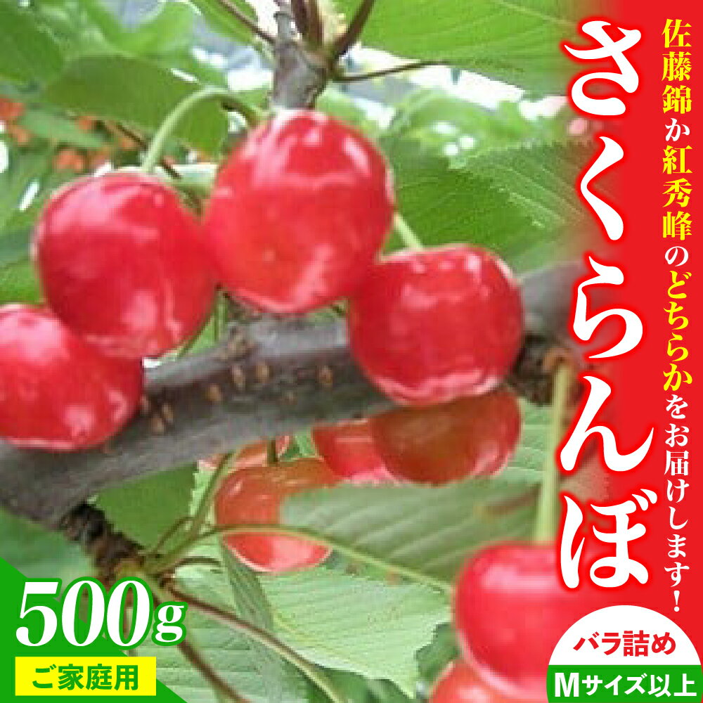 【ふるさと納税】さくらんぼ（ 佐藤錦 か 紅秀峰 ）500g ご家庭用 果物 フルーツ 山形県 上山市 0112-2601