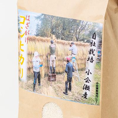 ふるさと納税 阿賀町 越後奥阿賀産はざがけ(天日干し)コシヒカリ |  | 02