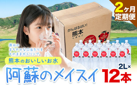 【2ヶ月定期便】水 熊本 の おいしい お水 阿蘇山 天然水  2L × 12本 2ケース 丸富産業《お申込み月の翌月から出荷開始》熊本県 御船町 水 天然水 みず 熊本