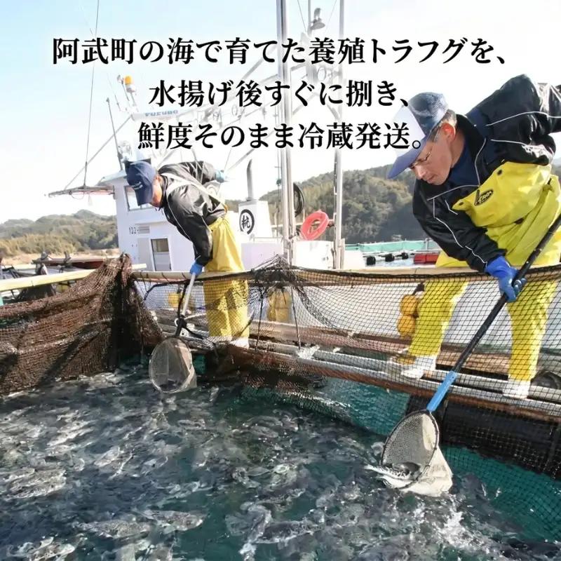 【先行予約】ふく料理 2人前【2026年10月中旬～2027年3月末出荷予定】