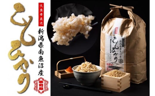 【令和7年産】【玄米】自然農法/化学肥料不使用の南魚沼産こしひかり10kg
