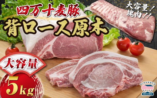 【期間限定】四万十麦豚 背ロース原木 約5kg ／Ahc-23 肉 豚肉 ブランド豚肉 原木肉 ブロック肉 ロース 四万十町 冷凍 麦豚 とんかつ バーベキュー チャーシュー