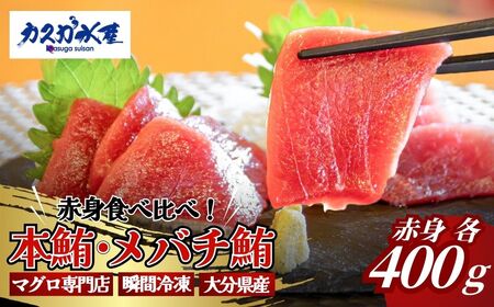 【本まぐろ・メバチ鮪】赤身 食べ比べ セット （各400g／計800g） | まぐろ 津久見市