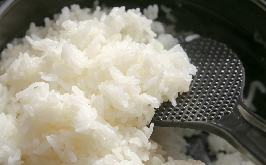 【令和7年産】難関突破達成米 白米 5kg 精米 熊本県 南関町産 単一原料米 ヒノヒカリ 産地直送 コメ お米 祈願米