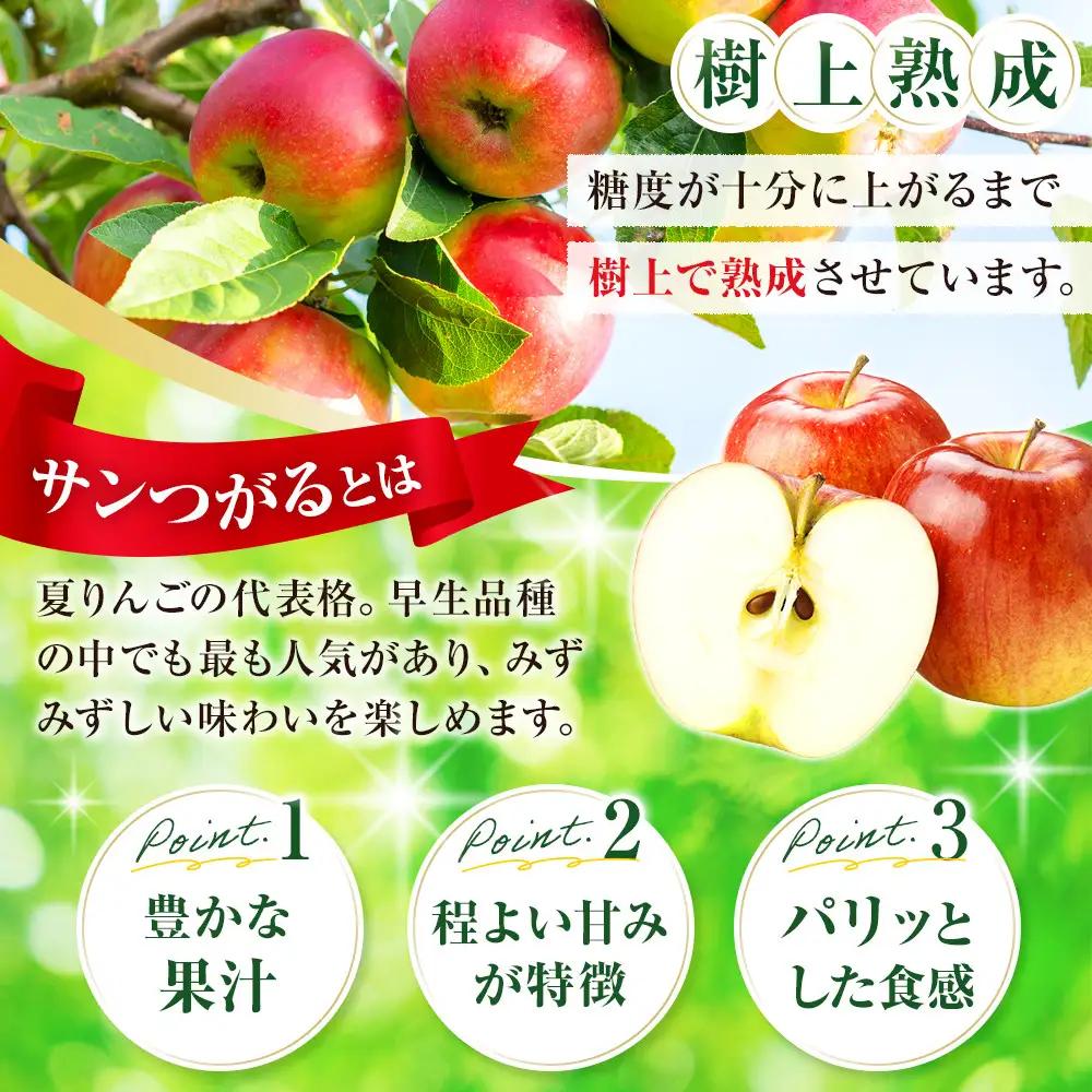 フルーツファーム中村農園　【8月下旬発送 先行予約】樹上熟成　サンつがる 3kg | りんご サンつがる