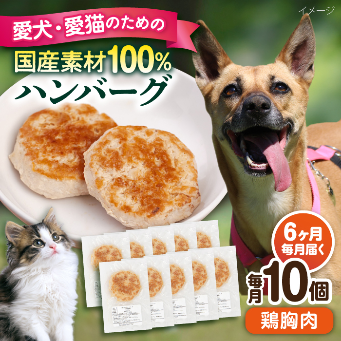 【全6回定期便】ペットフード 鶏むね 100%ハンバーグ 10個セット【ペットフード YMjapan】 [AKEX008]