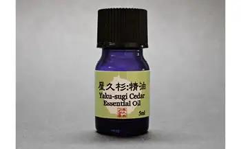 屋久杉精油(5ml)【月間10本限定】
