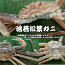 【ふるさと納税】【魚倉】生 若松葉ガニ 4枚（足1～2本なし 含む） 訳あり かに 蟹 松葉蟹