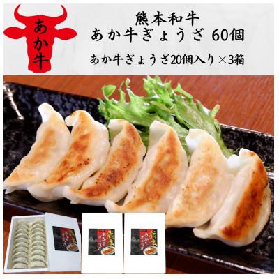 ふるさと納税 宇城市 熊本和牛あか牛ぎょうざ 60個(20個入り×3箱)(宇城市)